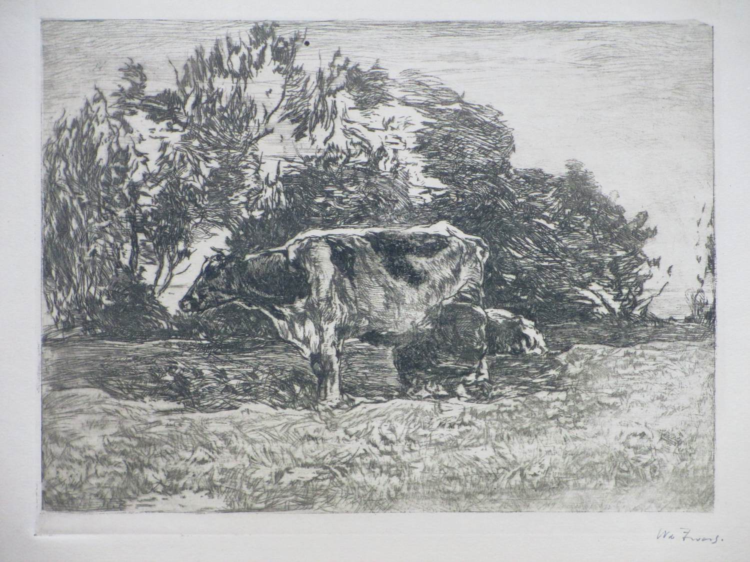 Willem de Zwart - Melkende boer - Ets kopen? Bied vanaf 65!