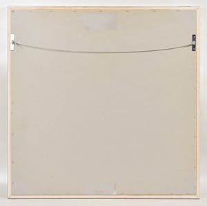 Starlie Sokol-Hohne - Druiventros kopen? Bied vanaf 1!