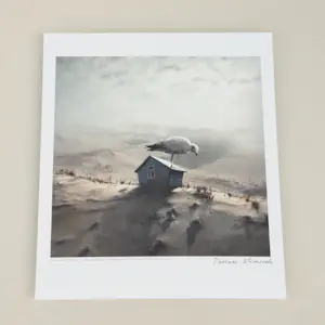 Dariusz Klimczak - 'Op het nest' (2011) - GRATIS VERZENDING kopen? Bied vanaf 70!