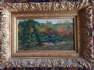 Johannes Cornelis Pabst - rode kool en spruiten in moestuin kopen? Bied vanaf 100!