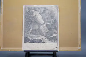 Johann Elias Ridinger - JAGD. - Hirsch kopen? Bied vanaf 5!