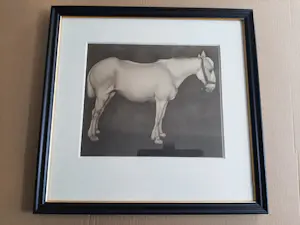 Jan Mankes - Originele Heliogravure Paard, 1923 kopen? Bied vanaf 120!