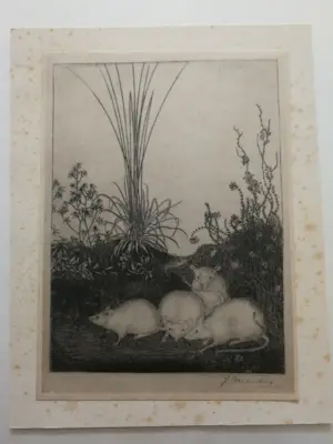 Jan Mankes - Witte muizen. Heliogravure. kopen? Bied vanaf 1!