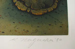 Kunito Nagaoka - DER VULKAN " ASAMA " 5 RADIERUNGEN 6 FOTOGRAPHIEN kopen? Bied vanaf 500!