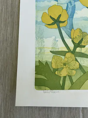 Guus Kuit - Boterbloem kopen? Bied vanaf 25!