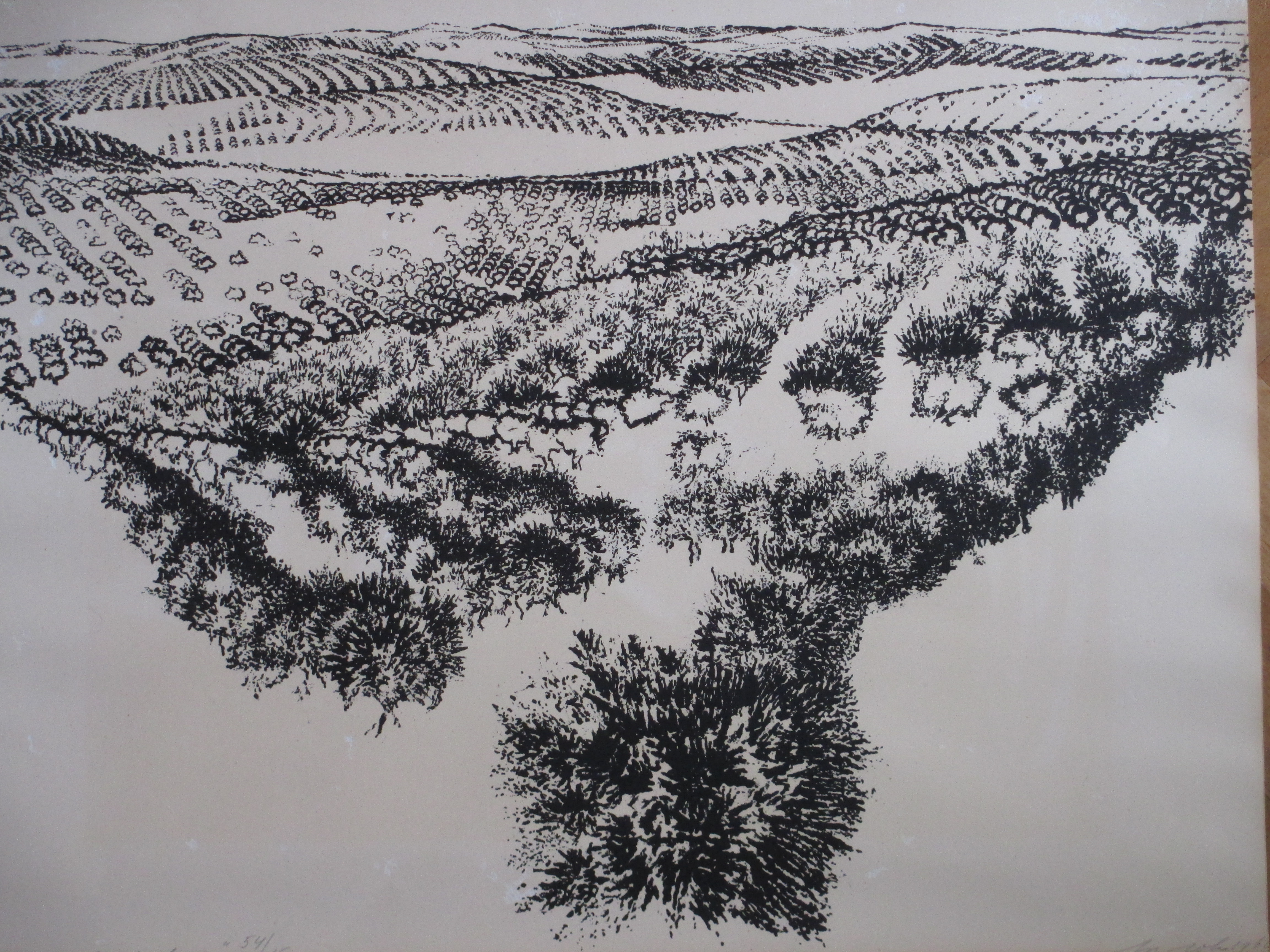 Ap Sok - Spaans landschap - Litho kopen? Bied vanaf 1!