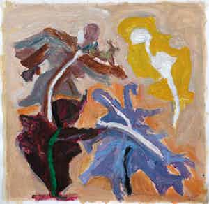 Hans Ebeling Koning - de vier struiken verkocht voor € 50!