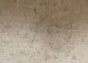 Niet of onleesbaar gesigneerd - Hollands landschap kopen? Bied vanaf 1!