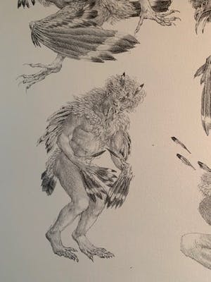 Peter Vos - Tereus kopen? Bied vanaf 15!