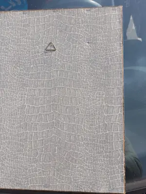 Cornelis Waterman - Breda Grote Kerk kopen? Bied vanaf 60!