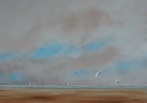 Franklin Meijer - Waddenzee met kokmeeuwen kopen? Bied vanaf 35!