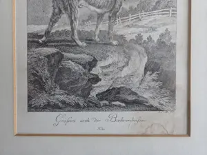 Johann Elias Ridinger - Vier gravures. Jachthonden. Ingelijst. kopen? Bied vanaf 160!