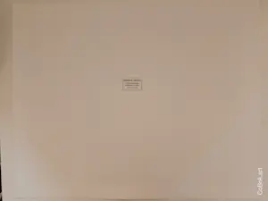 Corneille - Kat, bloem en vogel kopen? Bied vanaf 189!