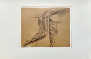 Herbert van der Poll - kater (1915) kopen? Bied vanaf 40!