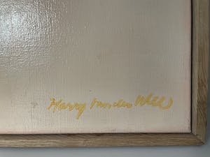 Harry van der Wee - Ibiza kopen? Bied vanaf 750!