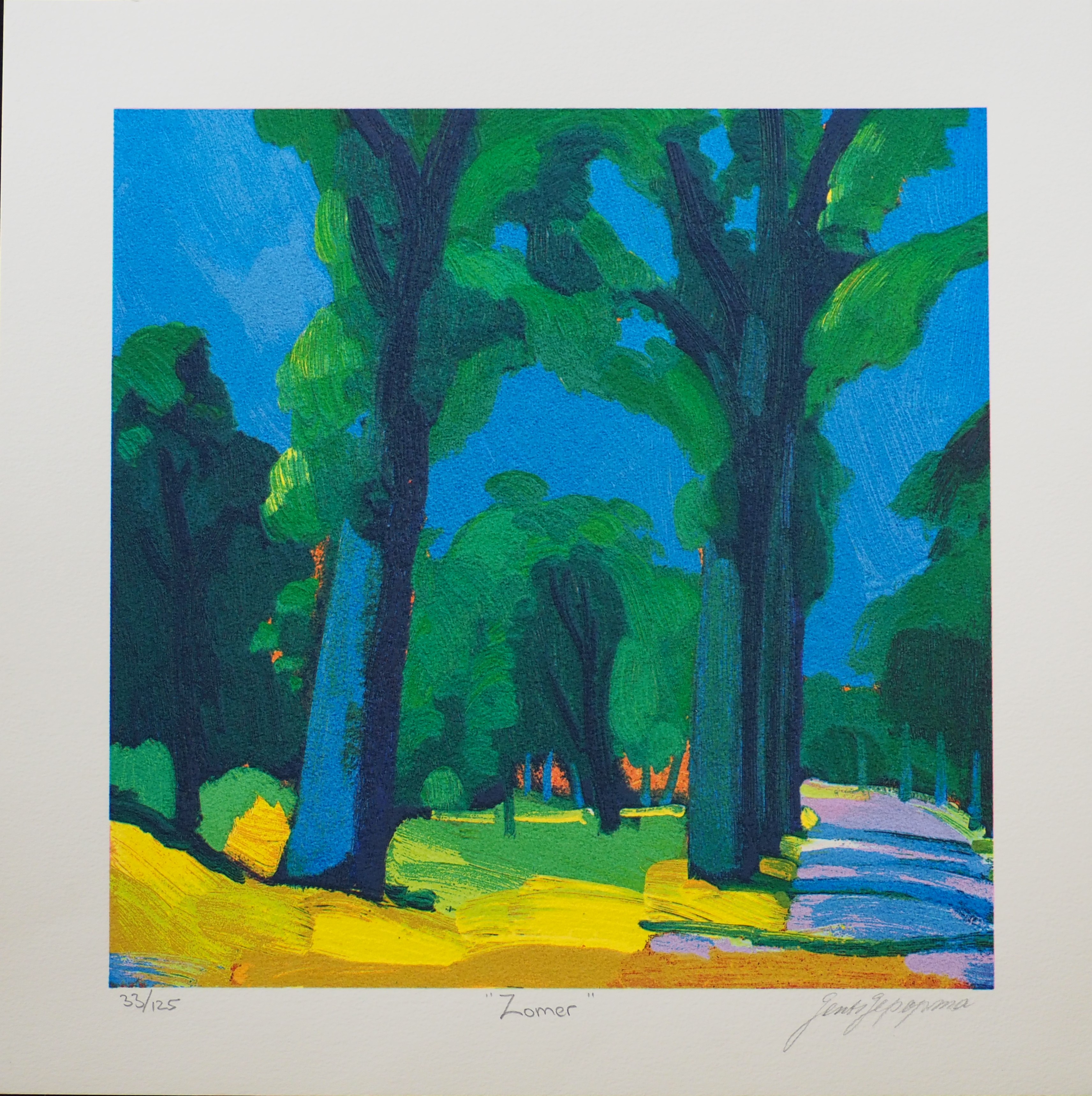 Jentsje Popma - Zomer verkocht voor € 65!