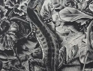 Dirk van Gelder - In memoriam. Natuur. Salamander. kopen? Bied vanaf 49!