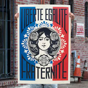 Shepard Fairey - LIBERTÉ EGALITÉ FRATERNITÉ Signed Lithograph kopen? Bied vanaf 20!