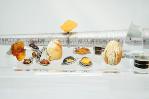 27 - Lot bestaande uit diverse 1e gehalte zilveren oorsieraden en ringen kopen? Bied vanaf 30!