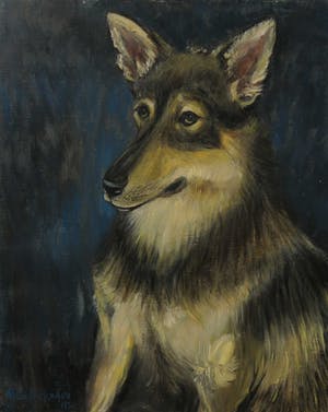 Bitia Rosendor - Olieverf op doek, Hondenportret, "Malinois" kopen? Bied vanaf 1!