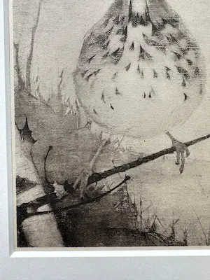Jan Mankes - Heliogravure " Lijster op tak " kopen? Bied vanaf 175!