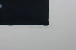 Brieke Drost - Litho op papier, Visglas - Ingeljist kopen? Bied vanaf 35!