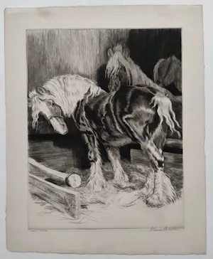 Kuno Brinks - Paarden in de stal kopen? Bied vanaf 90!