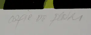Fon Klement - Boardsnede: "copie de fleurs" - 1998 kopen? Bied vanaf 125!
