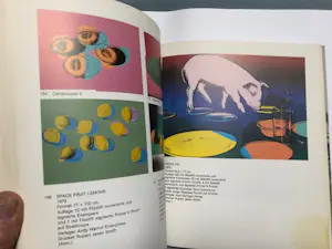 Andy Warhol - Das Graphische Werk 1962-1980 kopen? Bied vanaf 35!