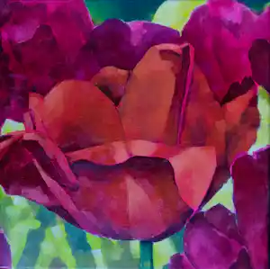Willem Visser - Tulpen verkocht voor € 75!