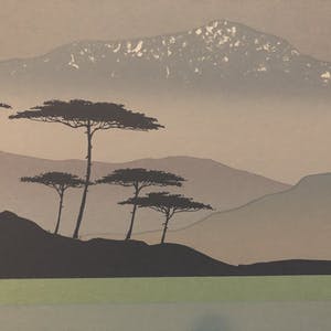 Jaap de Ruig - Aqualine 2 kopen? Bied vanaf 20!