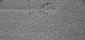 Rob Cox - 2 etsen - grafiek erotiek - 1978/1979 kopen? Bied vanaf 70!