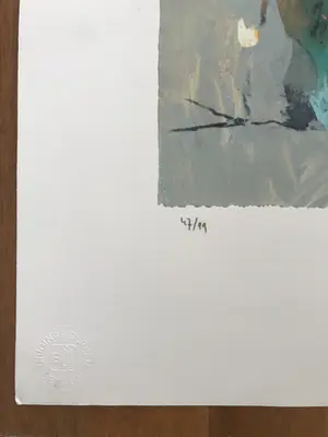 Beniti Cornelis - Gesigneerde litho in zeer goede staat - 47/99 kopen? Bied vanaf 75!