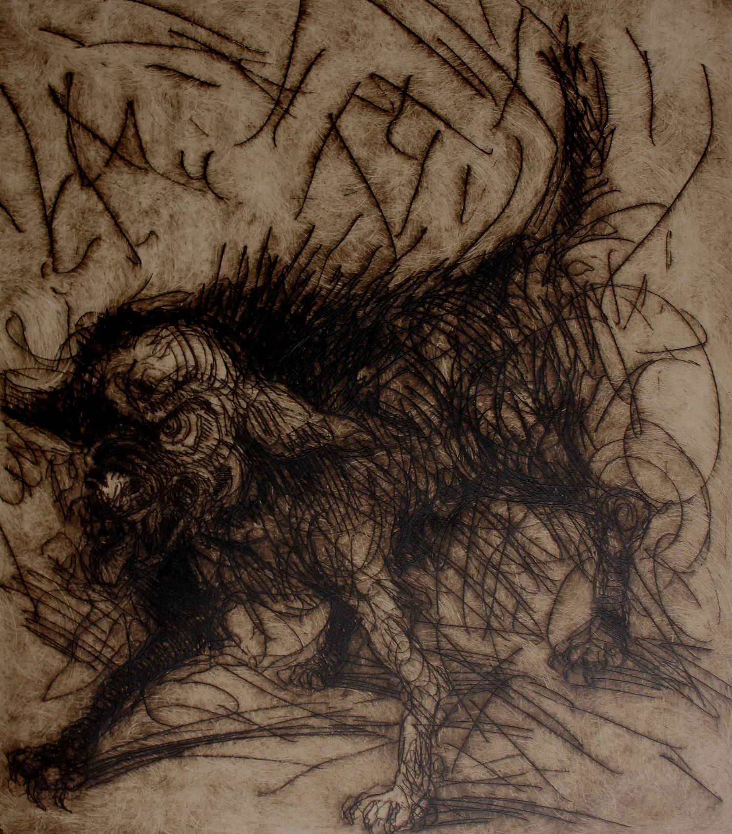 Ronald Tolman (1948)