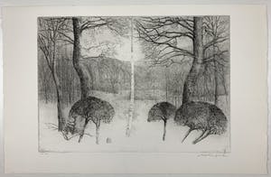 Charles Donker - ets - Noordoostenwind - definitieve, 3e staat - 1984 kopen? Bied vanaf 350!