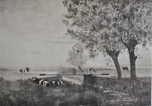 Jac. J. Koeman - Kalfjes in een weiland met verre einder kopen? Bied vanaf 65!