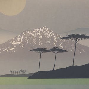 Jaap de Ruig - Aqualine 2 kopen? Bied vanaf 20!