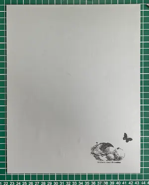 Willem den Broeder - ‘Verwarring’ kopen? Bied vanaf 110!