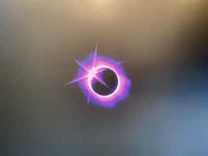 Ann Veronica Janssens - Gesigneerde Print verkocht voor € 45!