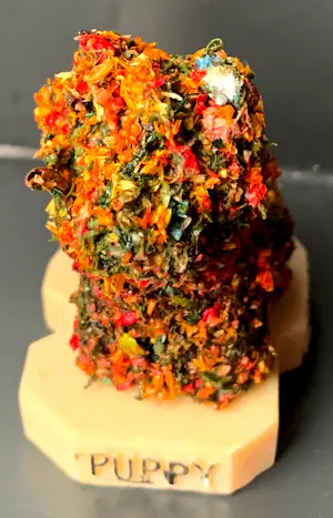 Jeff Koons - Multiple ‘Puppy’ kopen? Bied vanaf 125!