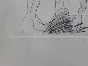 John van 't Slot - Hand ingekleurd,ingel.gesign.20/45 kopen? Bied vanaf 45!