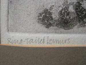 Niet of onleesbaar gesigneerd - Fraaie droge naald Ets - ringstaart Maki - zeer kleine oplage (6) - gesigneerd kopen? Bied vanaf 1!