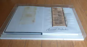 Bernard Aubertin - Verbrande lucifers op opengeslagen boek, Il fuoco e il Rosso - Ingelijst kopen? Bied vanaf 395!