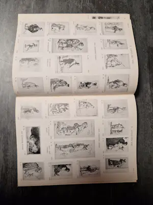 Rembrandt van Rijn - De Etsen van Rembrandt kopen? Bied vanaf 30!