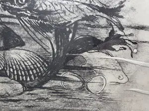 Hans van Dokkum - Vissen. Onderwater landschap. kopen? Bied vanaf 69!