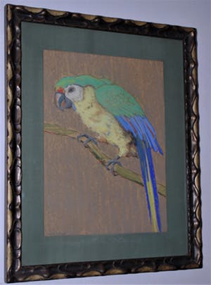 Hugo Berten - Papegaai - uit Berten's kunsthandel in Laren ca. 1930 kopen? Bied vanaf 110!