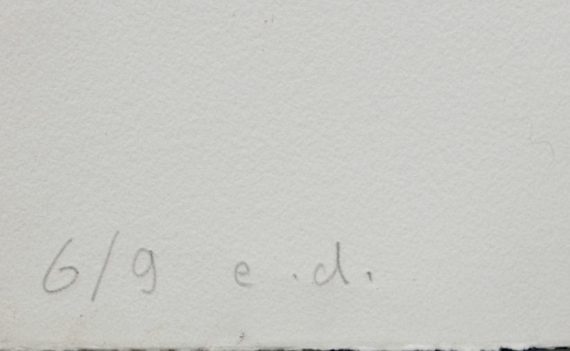 Niet of onleesbaar gesigneerd - grote ets - 'Totem' - gesigneerd kopen? Bied vanaf 1!