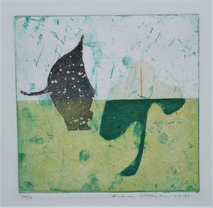 Frank Lodeizen - Abstracte kleurets 1981 - oplage 11 kopen? Bied vanaf 50!