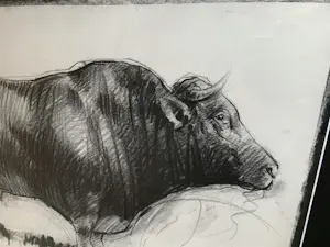 Nico Vrielink - Stier UNICA‼️ kopen? Bied vanaf 299!