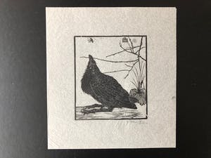 Jan Mankes - Houtsnede kleine kraai kijkend naar mugje - Gesigneerd - 1918 kopen? Bied vanaf 445!